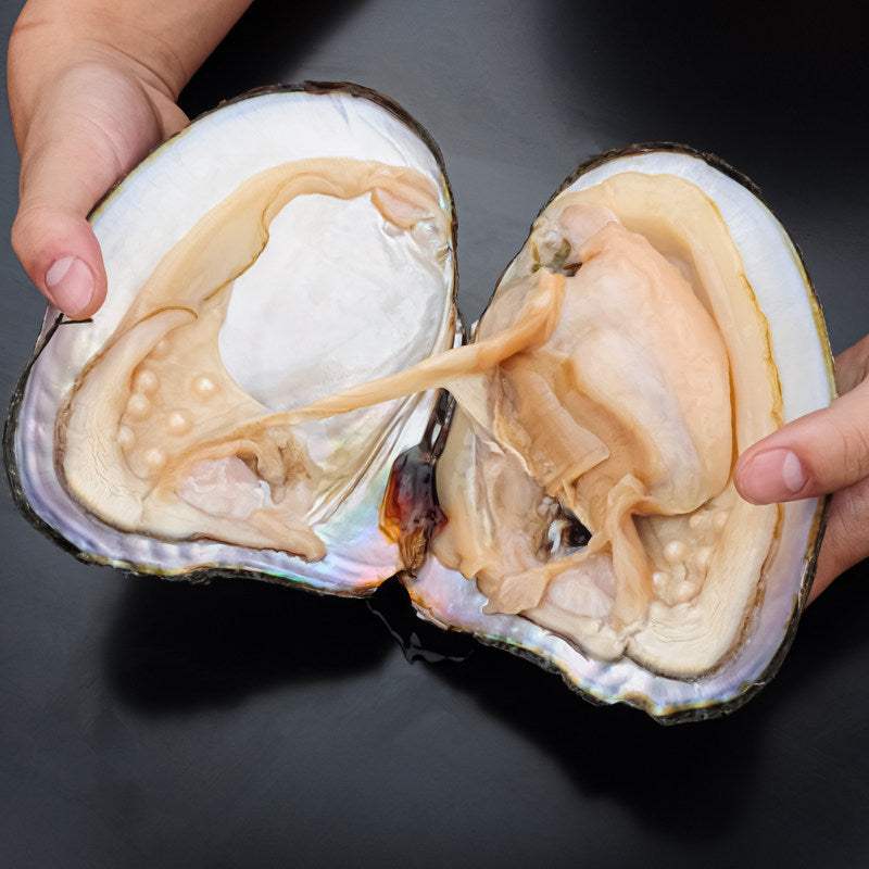 Freshwater pearls cultivation process showing mussel breeding, grafting, growing, harvesting, and polishing steps